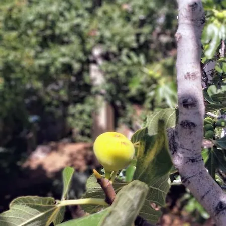 Apartamento Kristina *