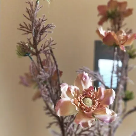 Kristina * Klenovica