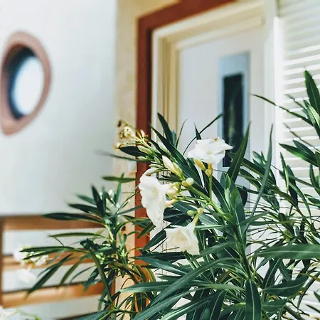 Kristina Apartman Klenovica