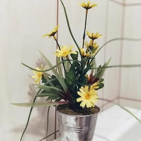 Kristina * Klenovica